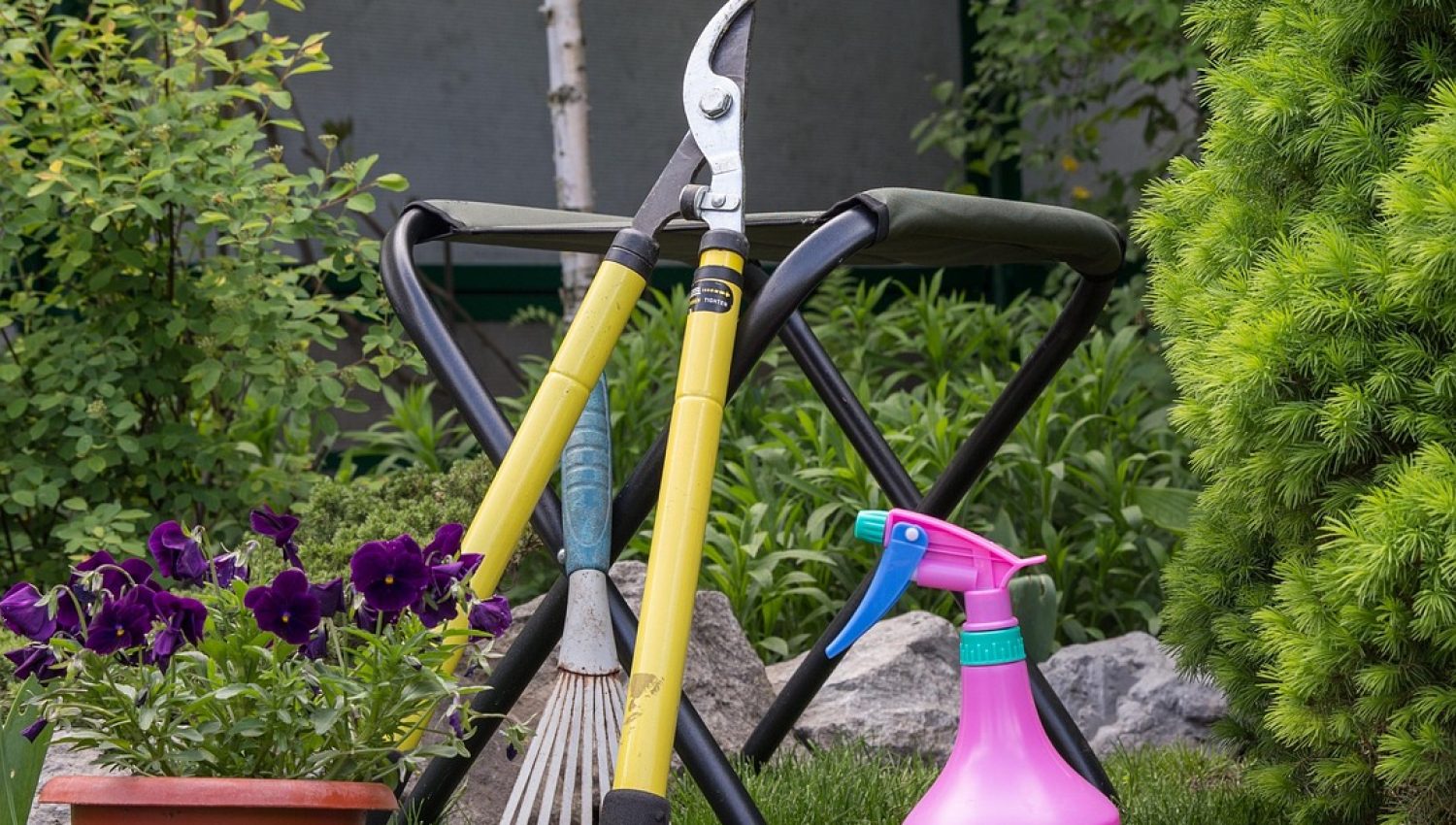 gardening, backyard, gardening tools, nature, autumn, garden, gardening, gardening, gardening, gardening, gardening, gardening tools, gardening tools